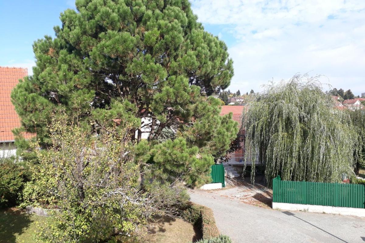 Appartement Independant A Proximite De Belfort Essert Exterior foto